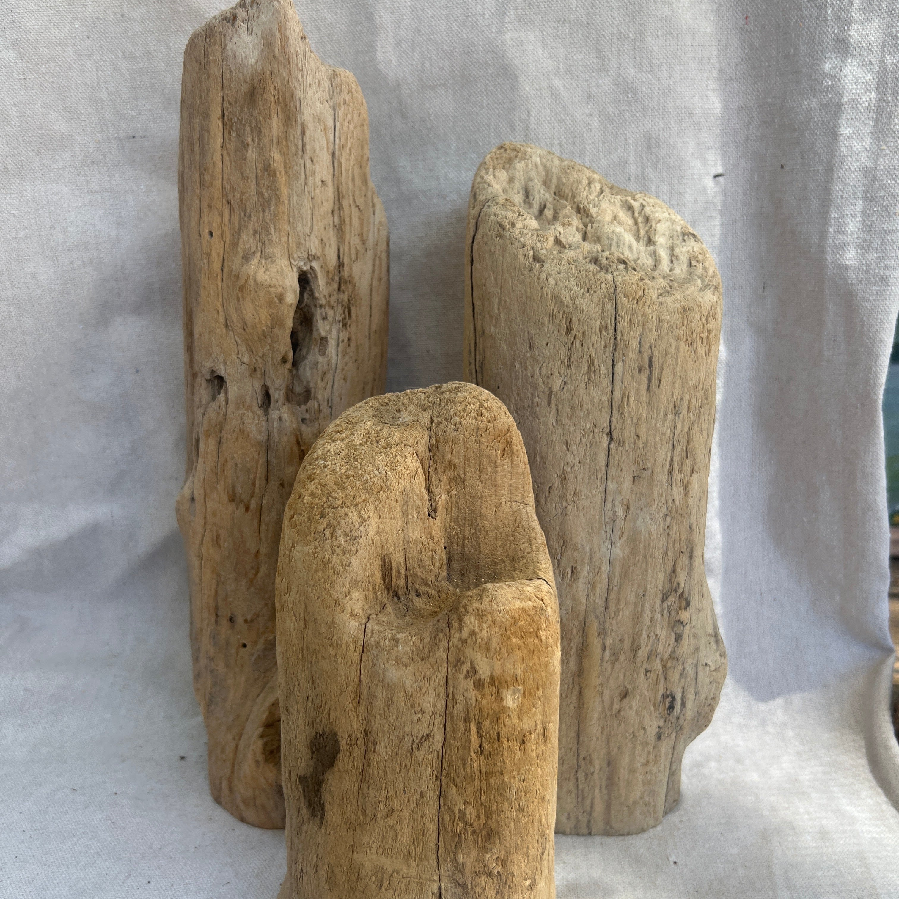 Driftwood