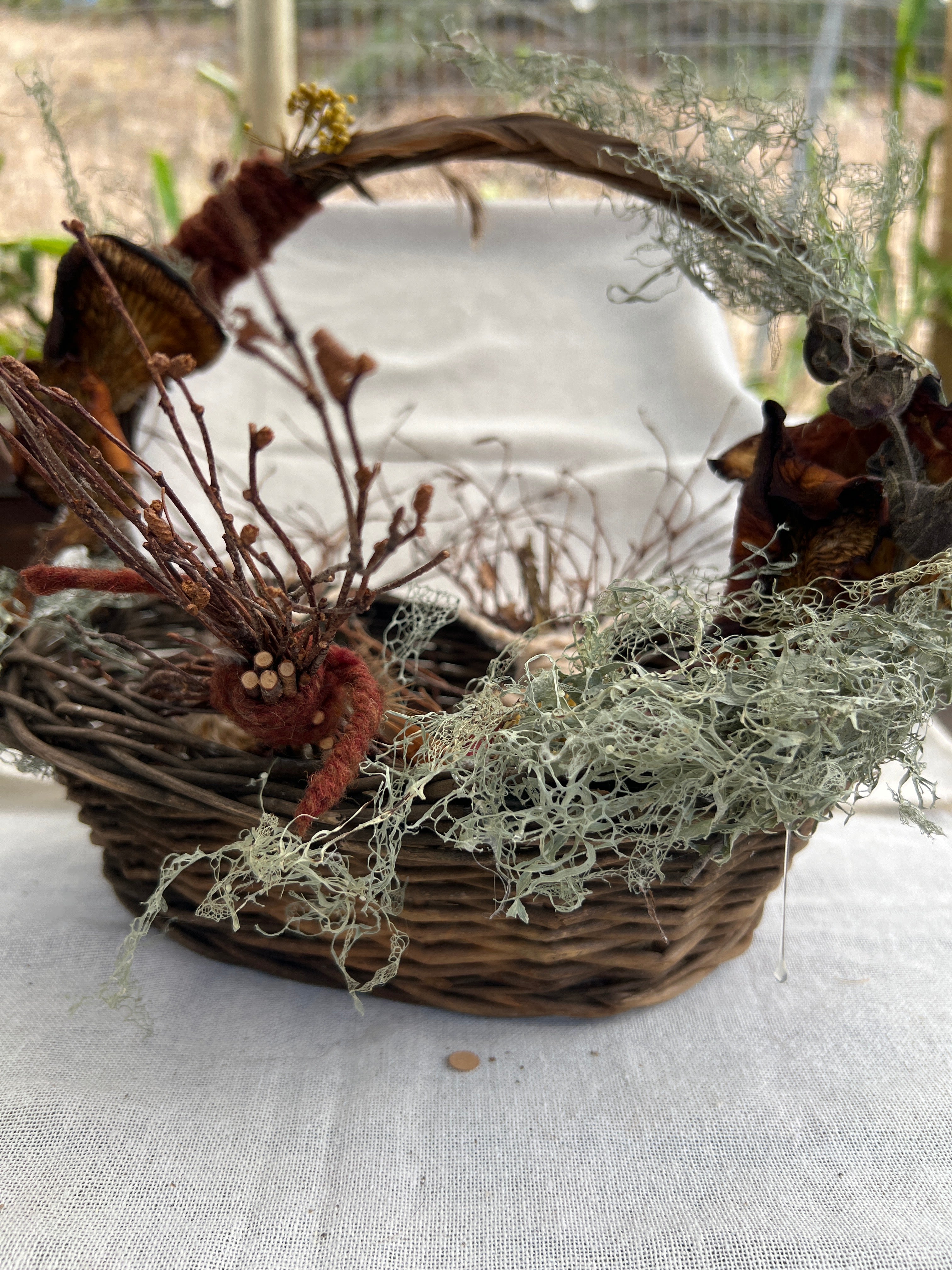 Locally Foraged Vine Basket